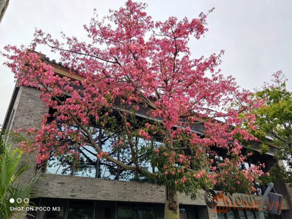 Xiaomi Poco M3 7 Xiaomi Poco M3