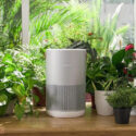 May loc khong khi Smartmi Air Purifier P1 3