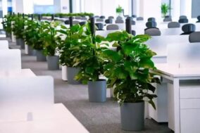 Bên trong trụ sở mới của Xiaomi: Cây xanh khắp mọi nơi, phòng nào cũng có máy lọc không khí