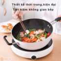 Bep dien tu Zhiwuzhu ZCL010 1A 5