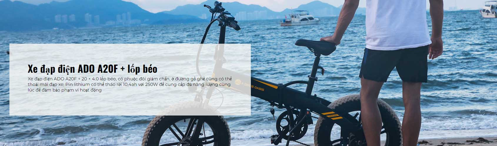 Xe dap dien ADO A20F 6