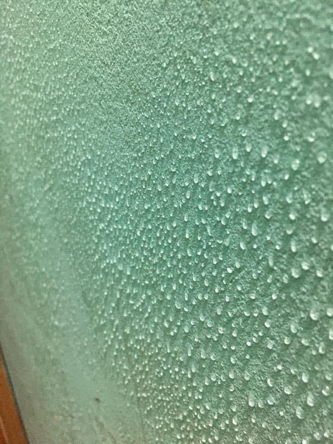 Những hình ảnh kinh hoàng về nồm ẩm: Ai cũng ngao ngán | Tin ...