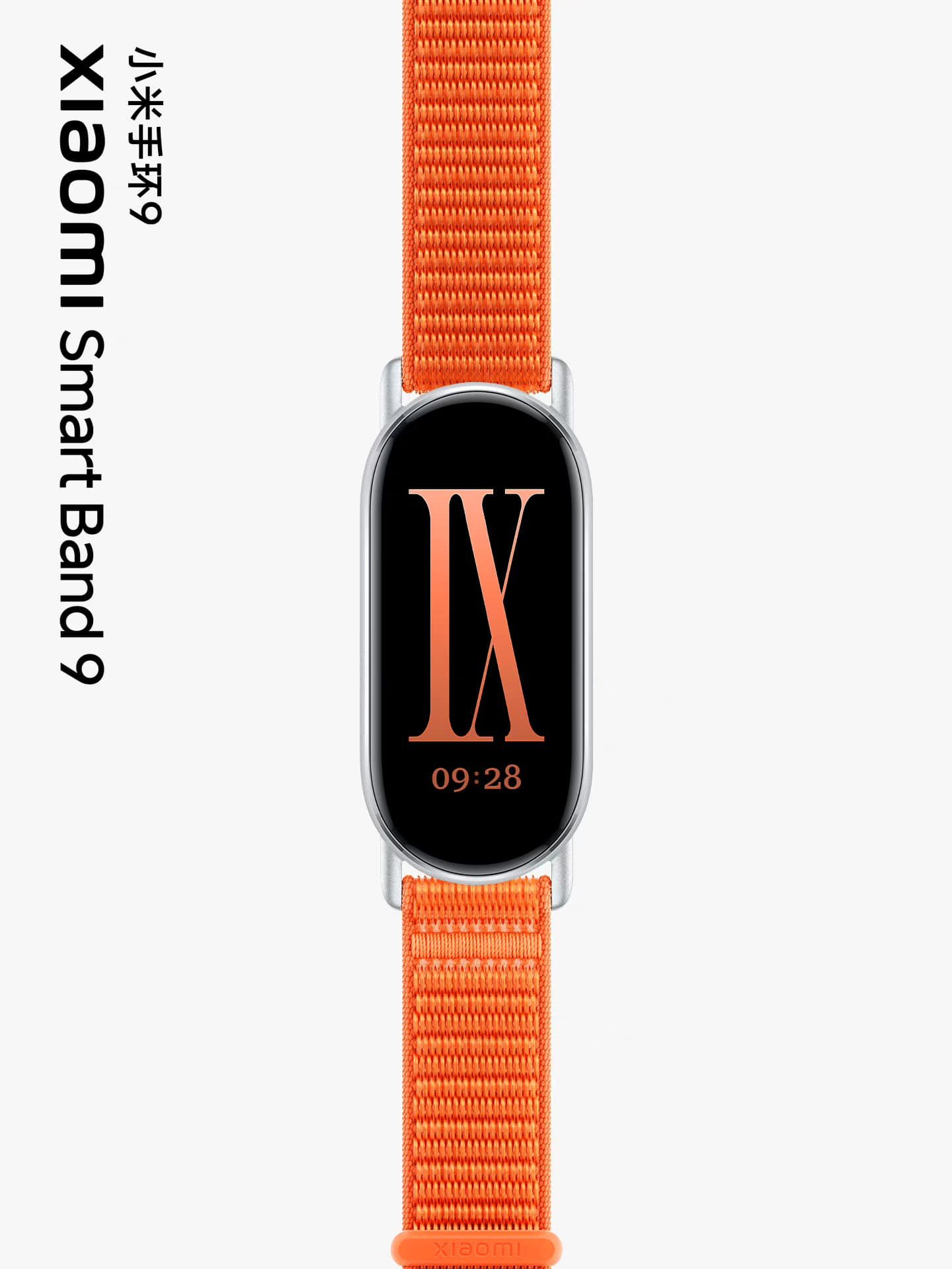 451074652 1929181117535973 3339356420270428076 n