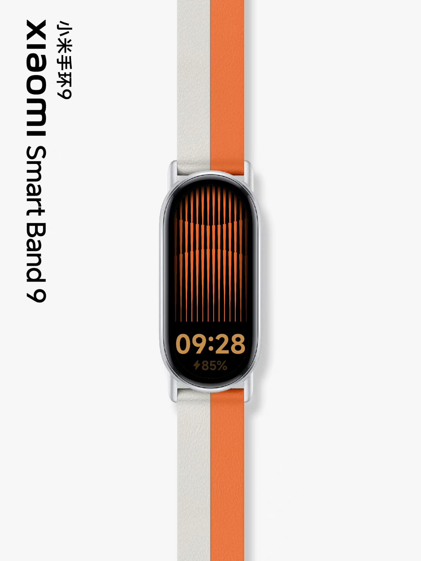 451641870 1929181060869312 3396189037257888975 n