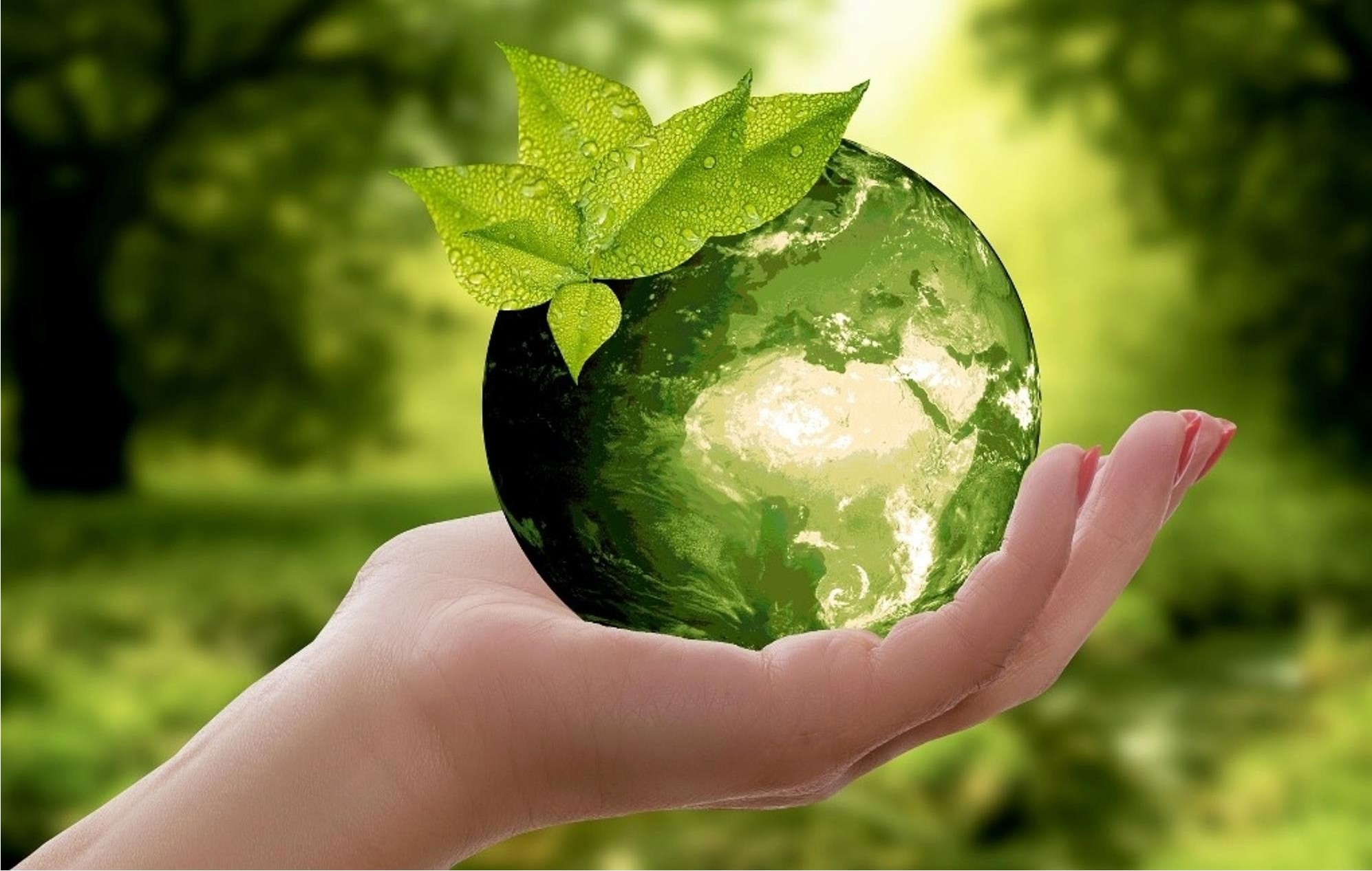 Ngay Quoc te Khong khi sach Giam o nhiem khong khi vi mot bau troi xanh 2 1