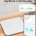 Cân điện tử Lumias Scale G25 11 1741167826593 can dien tu lumias scale g25 113