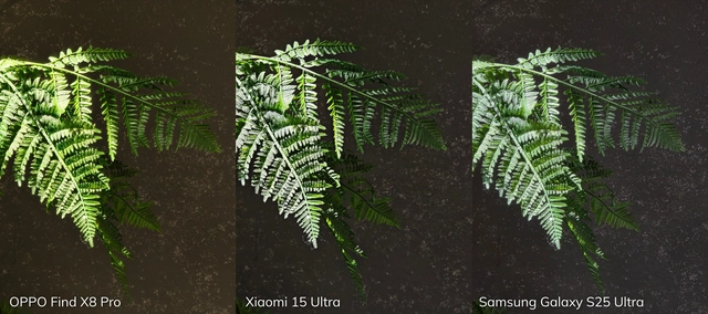 Đọ camera zoom Galaxy S25 Ultra, OPPO Find X8 Pro, Xiaomi 15 Ultra: Cuộc chiến “thực lực” giữa tiêu cự dài và độ phân giải khủng 4 img20250416141335 side 1747075444874100827775