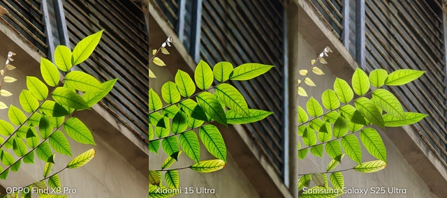 Đọ camera zoom Galaxy S25 Ultra, OPPO Find X8 Pro, Xiaomi 15 Ultra: Cuộc chiến “thực lực” giữa tiêu cự dài và độ phân giải khủng 6 img20250417104007 side 17470754448651988724313