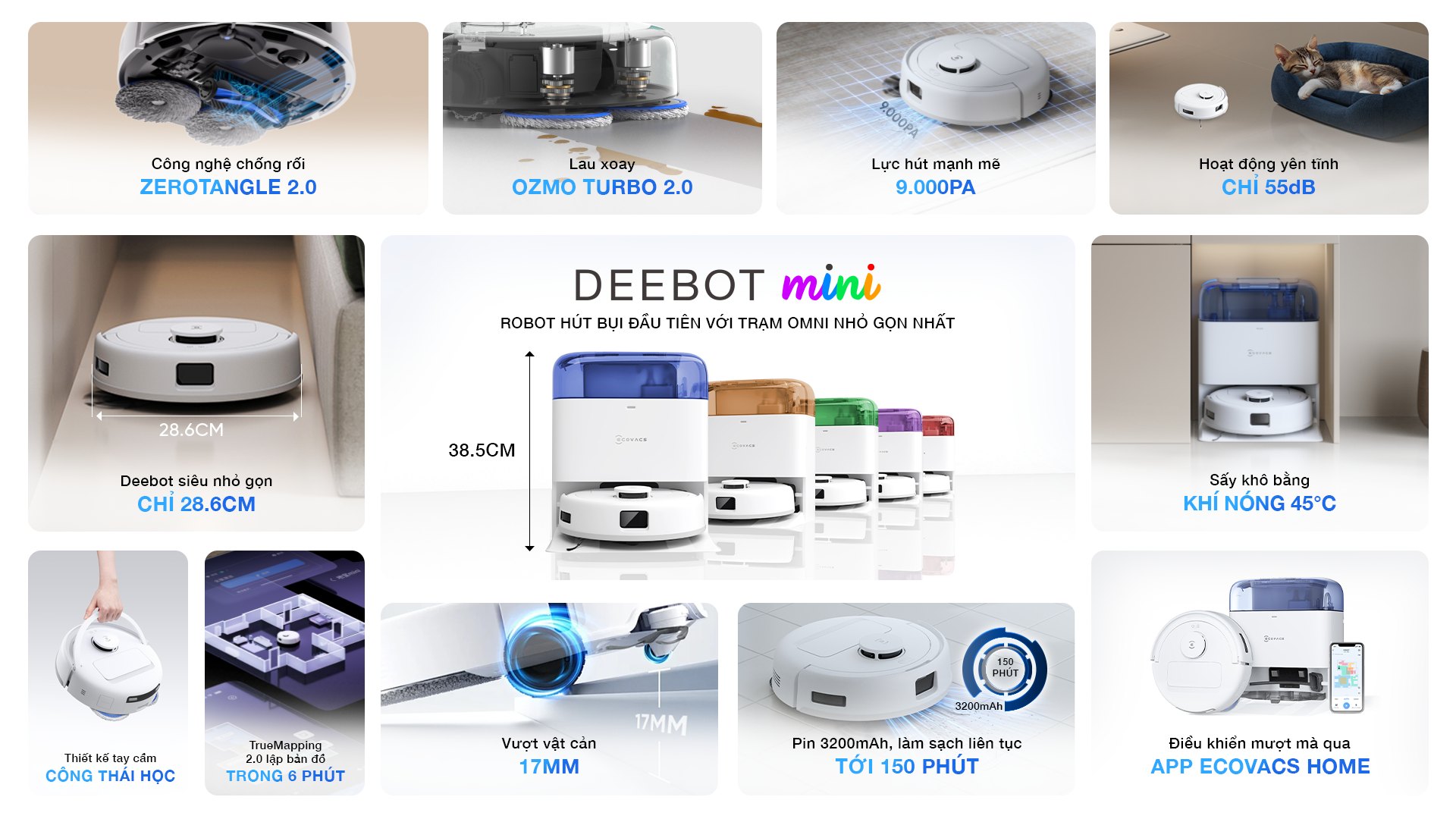 503366414 719744464068363 8475354429121208191 n