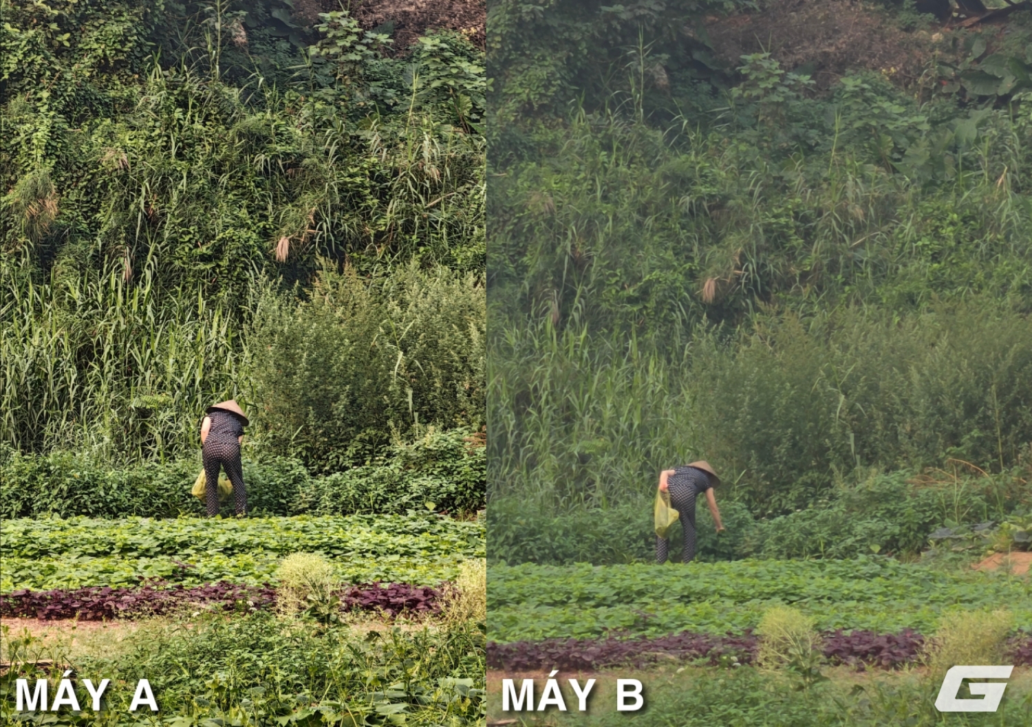 Kết quả blind test camera Leica Leitzphone by Xiaomi và Galaxy S26 Ultra: Hóa ra không hề dễ đoán? 4 so sanh leica leitzphone vs galaxy s26 ultra genk so sanh leica leitzphone vs galaxy s26 ultra genk img20260406160134 side 1776078849143 1776078849279428389774